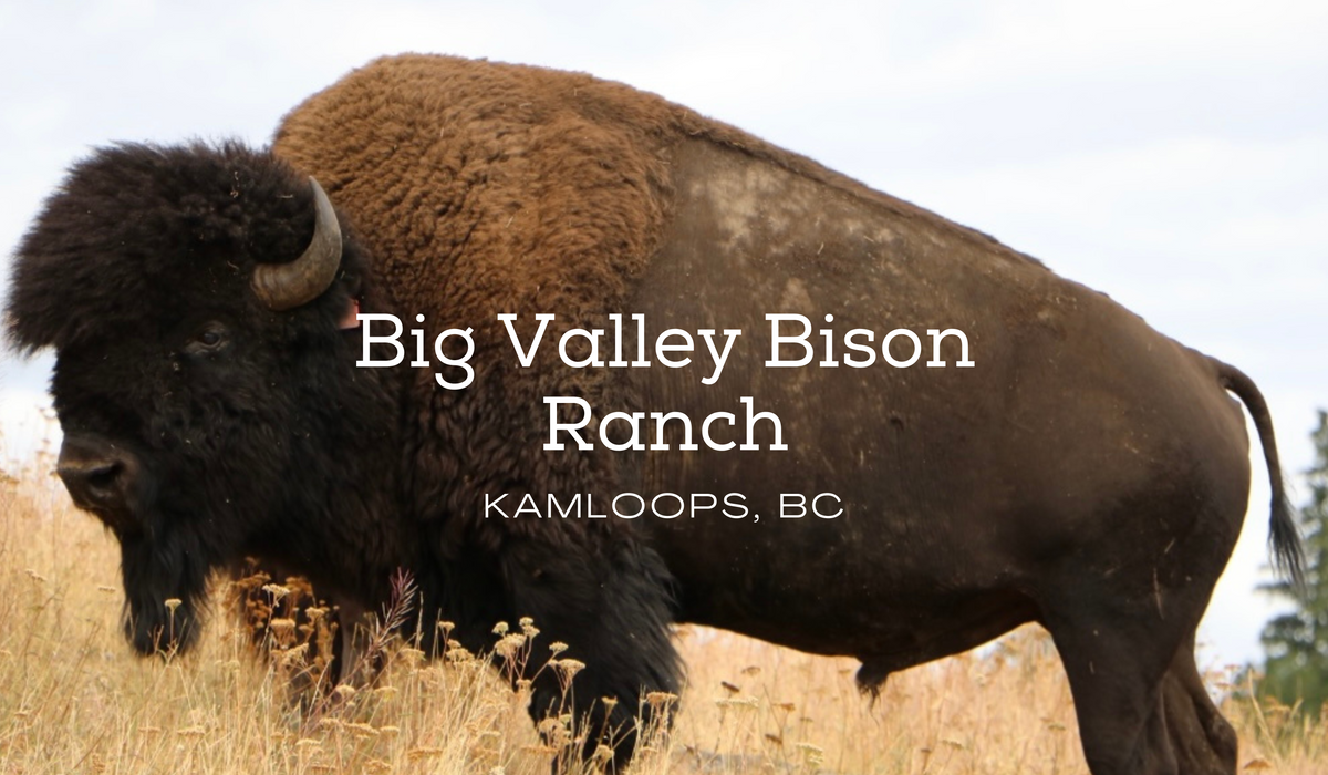 Big Valley Bison Ranch